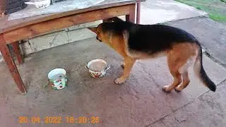 №475.  FILE220420 182002 000035F.  У Жули ужин.