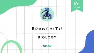 Bronchitis | Class 10 | Biology | Chapter 1 | EdTutor