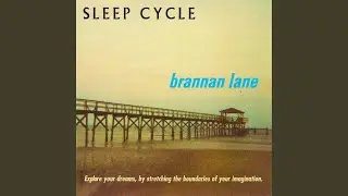 Slow Wave Sleep