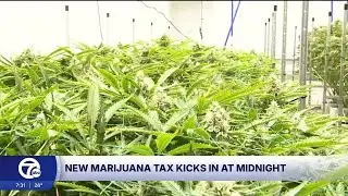 Michigan implements 24% wholesale marijuana tax starting January 1