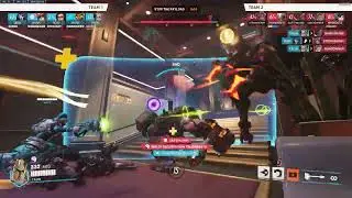 Sweaty cardboard rein