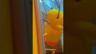 pegando o pipiu na m&aacute;quina de ursinho #megaplush #machine #pel&uacute;cia #maquinadepelucia #youtube