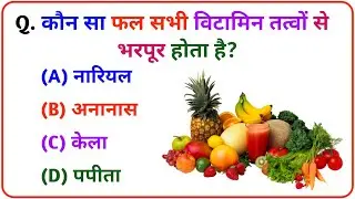 GK || GK Question || GK In Hindi || GK Question and Answer || GK Quiz || TRISHA GK 