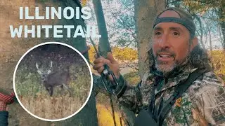 &laquo;Сборник приемов охоты на белохвостого оленя в Иллинойсе&raquo; &mdash; тактика, которую я использую для поис...