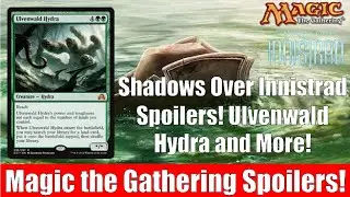 Спойлеры к MTG &laquo;Тени над Иннистрадом&raquo;! Гидра Ульвенвальда и многое другое! Magic the Gathering!
