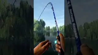 Fishing Planet Weeping Willow Unique Leather Carp #fishingplanet #gaming #fishing #fish