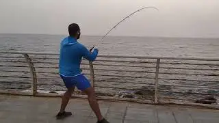 Readsea jeddah 