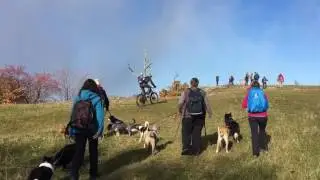 KOMOOT-TOUR: Runde bei Ochsenwang