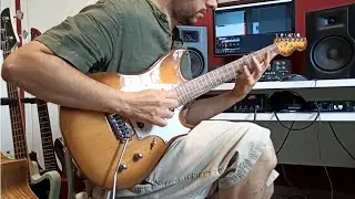 Panico guitars V155T