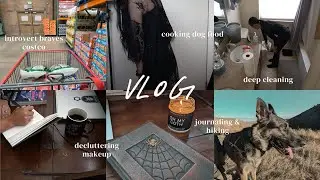 VLOG ~ reset/prep for 2026, deep cleaning, decluttering makeup, spiritual chat, journaling, hiking