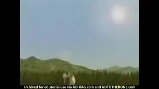 Shrek throws donkey into space