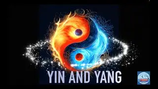 Yin and Yang | A Journey Through Elemental Balance