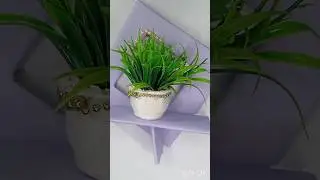DIY cardboard wall hanging planted #shorts #viralshort #diyplanters  #handmade #craft idea