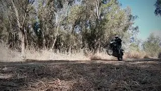 VersysX : Wheelie [ยกล้อข้ามมด]