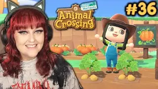 MAKING A VEGGIE PATCH! 🥕 | Animal Crossing: New Horizons Part 36
