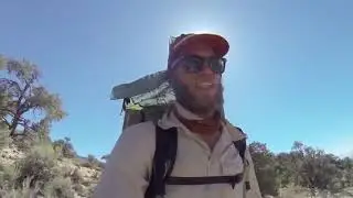Pacific Crest Trail 2020