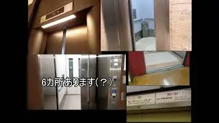 エレベーターのグルメレース5本比較動画