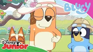 Bluey | De Leukste Uitjes! ✨ | Disney Junior BE