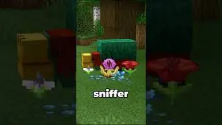 ЛУЧШИЕ СНИФФЕРЫ в Minecraft!