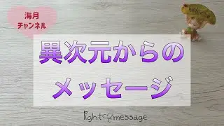 異次元からのメッセージ💌✨🌈海月チャンネルlight♡message🌈タロット&オラクルカード