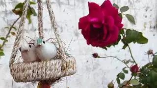 NAVITA HOME GARDEN is live! Beautiful Garden View|Mostly Rose Flowers|Hanging planter|jhula