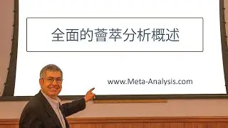 綜合薈萃分析概述 第 4 版