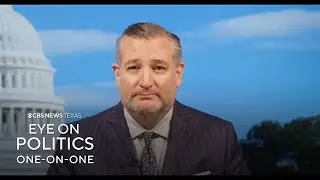 Texas Republican U.S. Senator Cruz talks government shutdown, redistricting federal court hearing