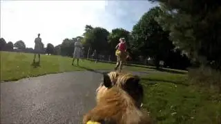 Bournemouth Parkrun, A different perspective