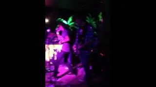 The Pretender (Foo Fighters) The Stonedogs