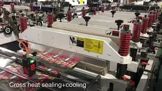 CWZD600C+FD Laminated Bag Making Machine, stand up pouch, zipper bag, third film bottom inserting