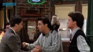 Friends- HD videos- Marcel starts to hump everything. The monkey has reached sexual maturity.