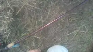 Cold Front Bass on the KVD 1.0