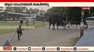 എറണാകുളം ഇടകൊച്ചിയിൽ ഇടഞ്ഞ ആനയെ തളച്ചു | Ernakulam | Elephant