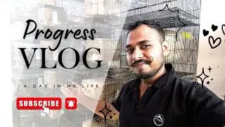Progress vlog cute budgies / cocktails🥰 AVIARY AND DAIRY #cute #vlog 