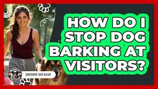 How Do I Stop Dog Barking At Visitors? - Obedient Dog Guide