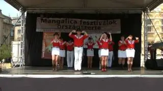 Dancing Boots Country Linedance Club-Country roads-fellépés Mangalica fesztivál 2014. április 13.
