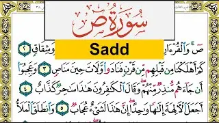 سورة ص Surah Sadd عبد الرشيد صوفي Abd Alrashid Sofi برواية حفص عن عاصم