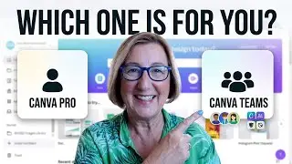 Canva Pro vs Canva for Teams? Here's What You Actually Need