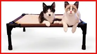 K&H Pet Products Comfy Pet Cot Elevated Pet Bed Small ChocolateTan 17 x 22 x 7