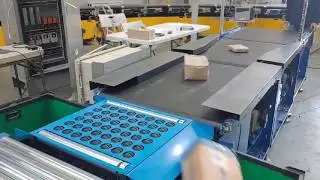 Pivot Wheel Sorter(PWS 86_55P)