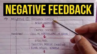Negative feedback system | Negative feedback mechanism | Anatomy and physiology