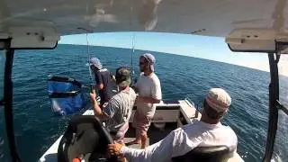 catching baldchin groper Mono