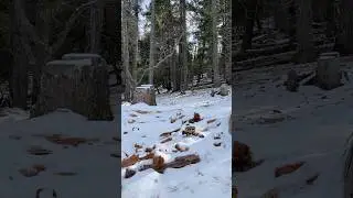 RC Land Rover Overland in the Snow