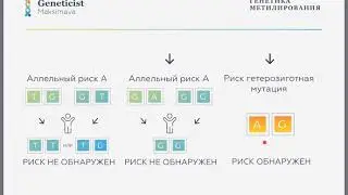 Генетика метилирования. ASDhelp.ru и Кристина Максимова,  генетик