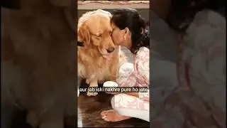 mera cutie kitna 🥰#sholrt #goldenretriever