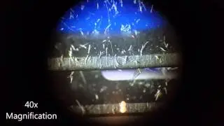 Under the Scope: Disposable Razor (before and after use)