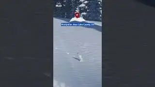 The most adorable animal greets visitors
