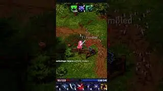 Lvl11 RoT Leo cooked by Orchard bees! | Stoneshard funny gameplay