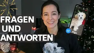Fragen zum ersten Hund und Havaneser Welpen