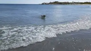 Wilson at Redbill beach